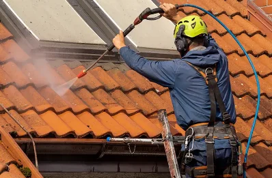 Démoussage et hydrofuge de toiture à Domqueur